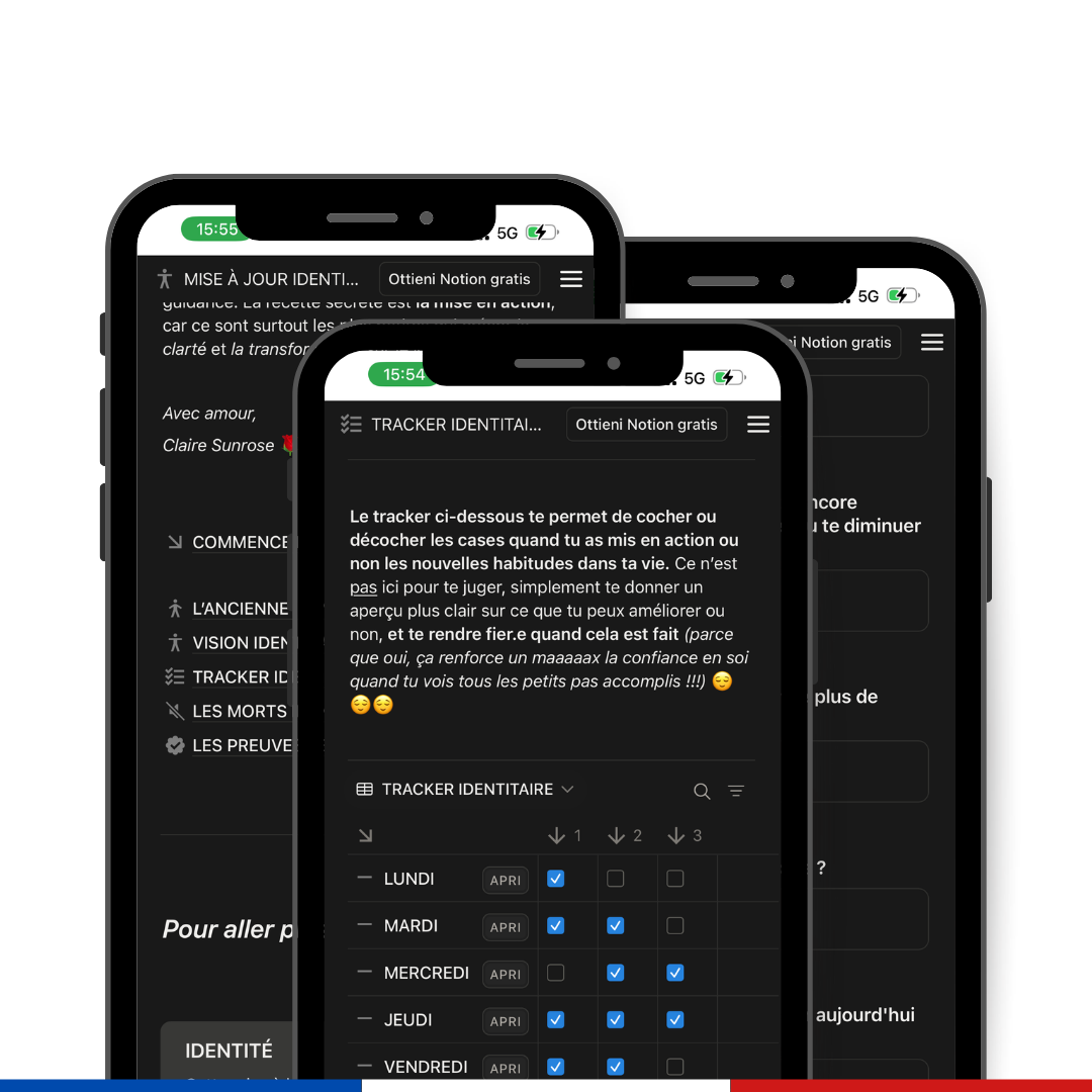 MISE À JOUR IDENTITAIRE - Journal privé