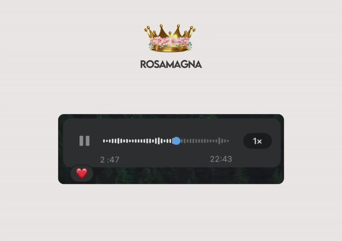 Charger la vidéo : 